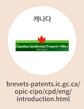 캐나다 특허검색