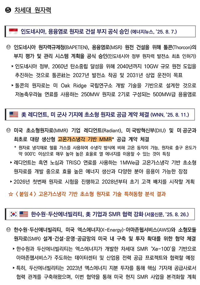 첨단전략산업 기술 분야별 동향 차세대 원자력 분야 이미지