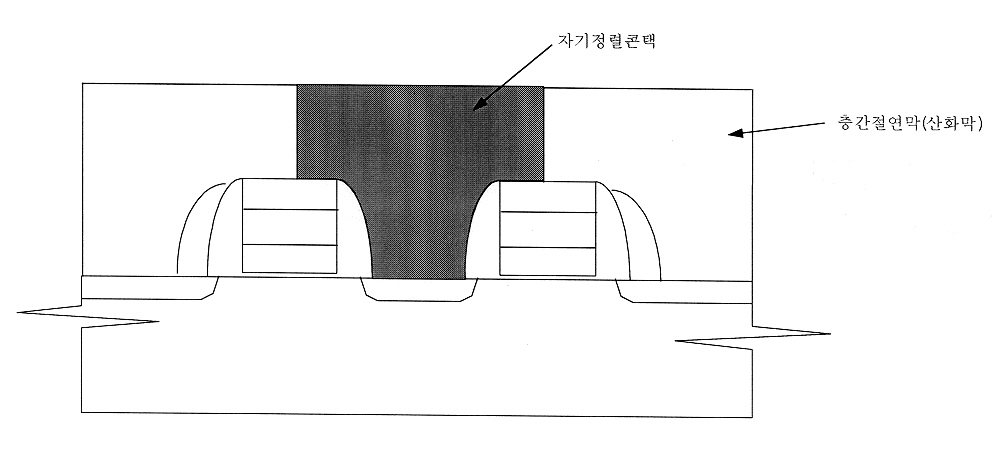   공지자료실 상세보기 |  특허청